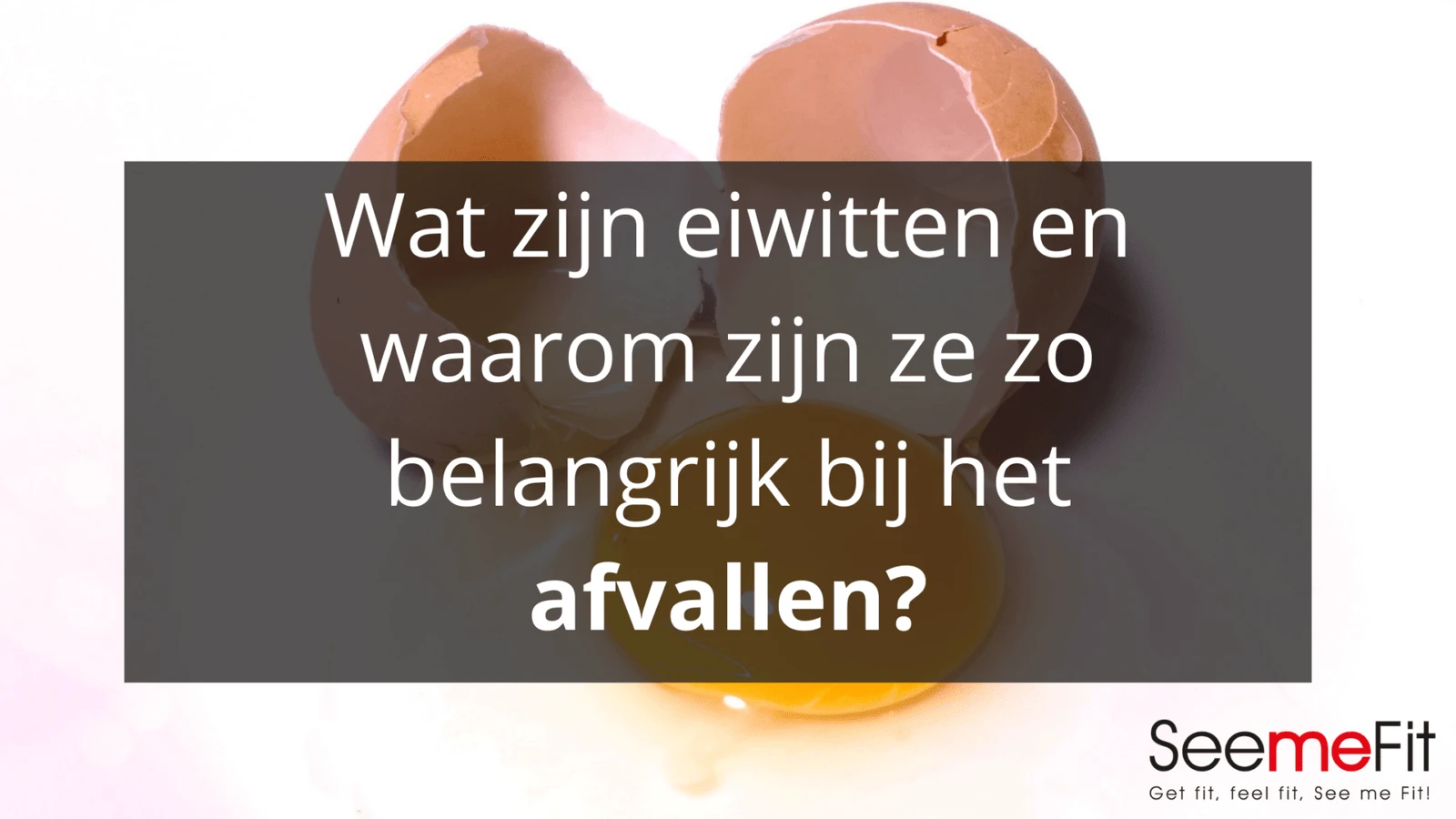 Wat zijn eiwitten en waarom zijn ze zo belangrijk?